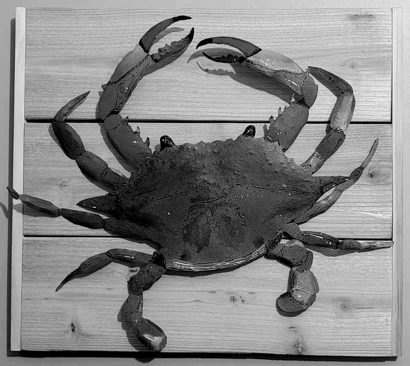 blueCrab.html